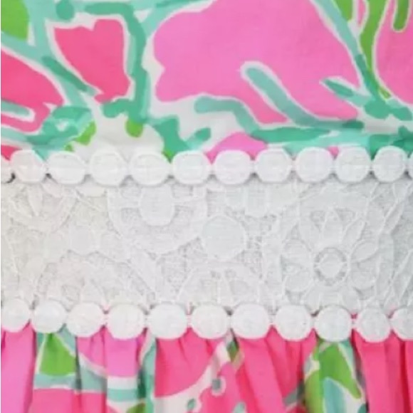 Lily Pulitzer Dress - Picture 4 of 6